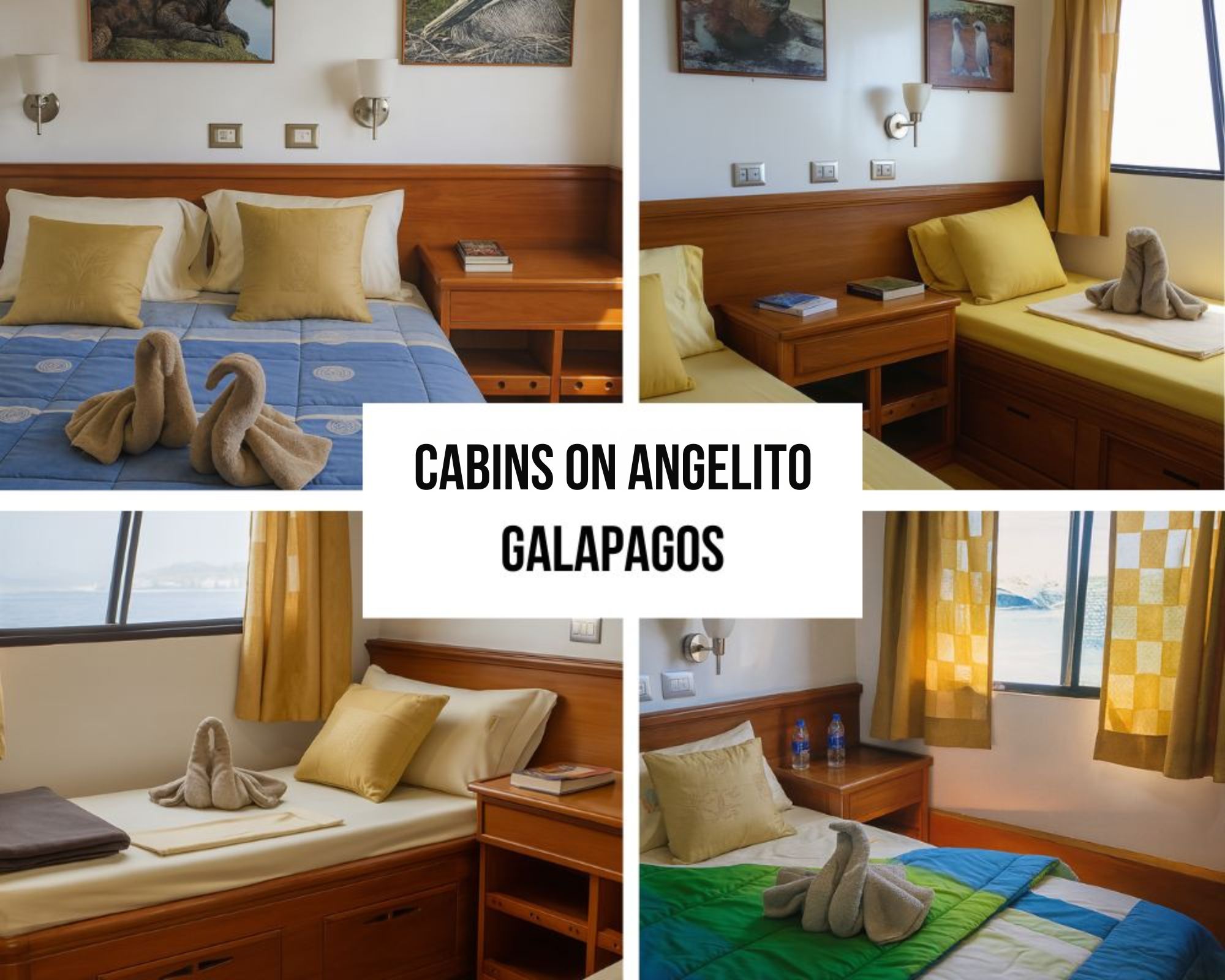 Cabins on Angelito Galapagos