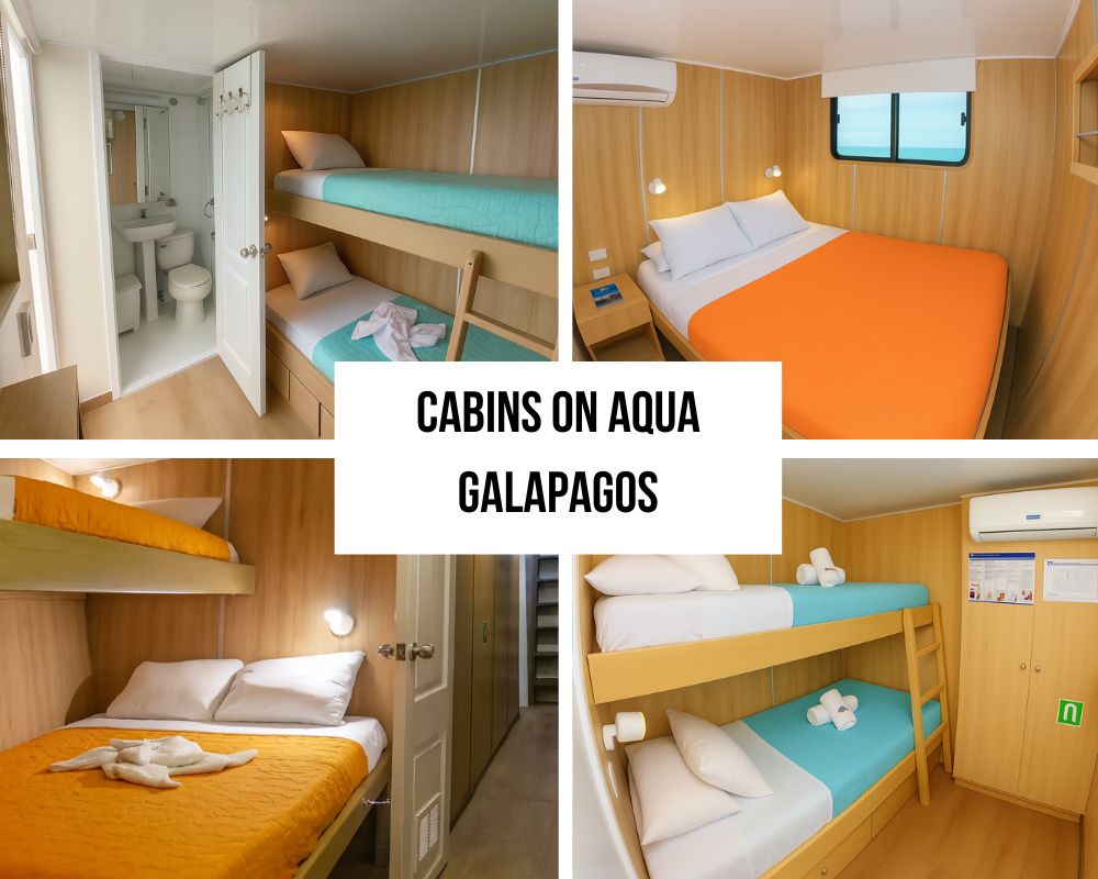 Cabins on the Aqua Galapagos Cruise