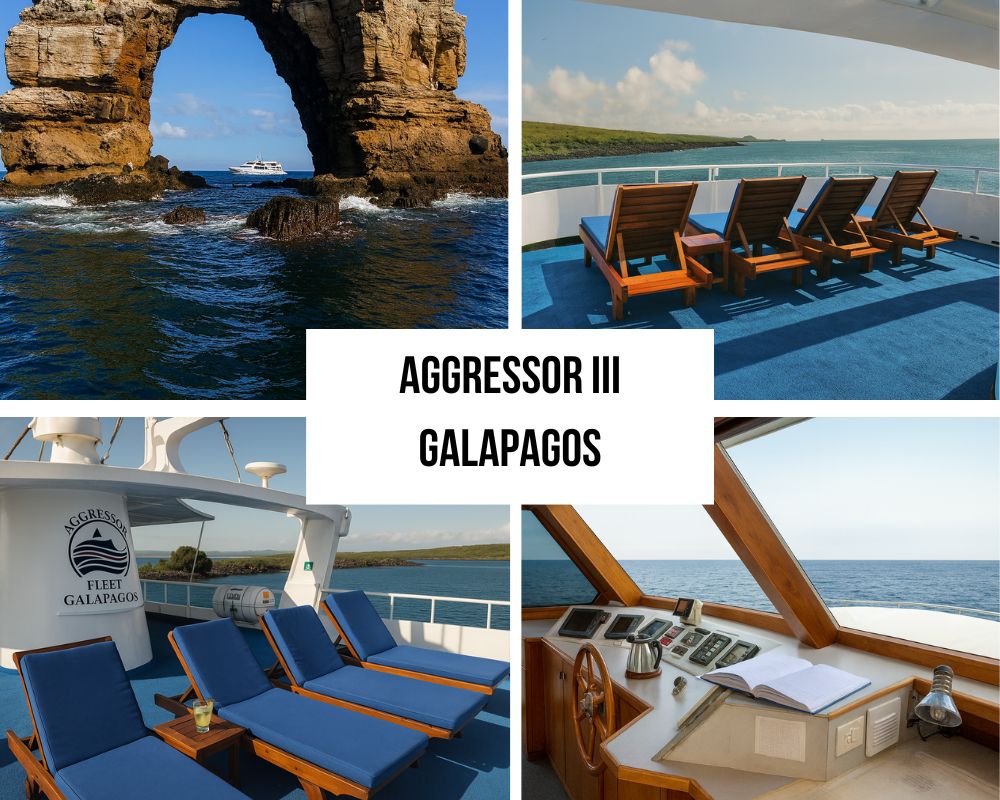 Premium Inclusions on the Aggressor III Galapagos Cruise