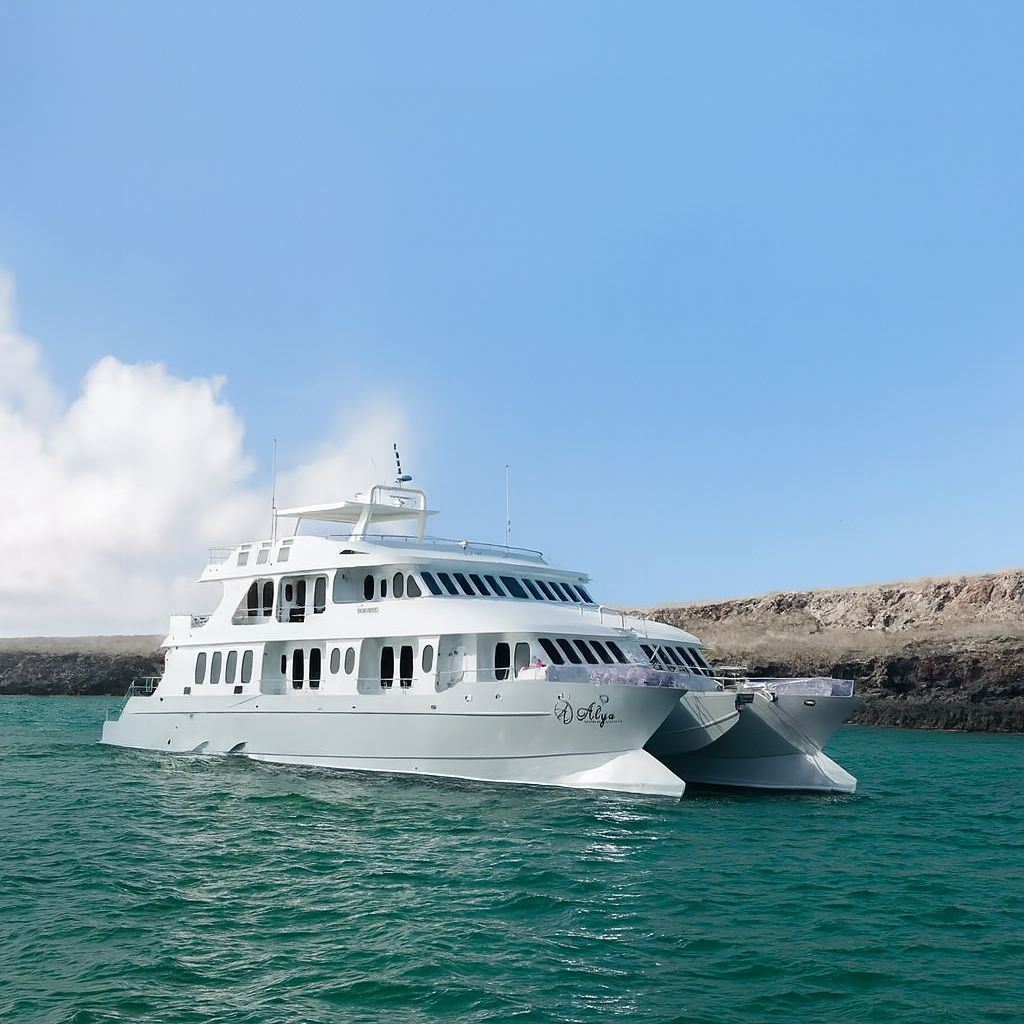 Alya Galapagos Cruise: Modern Catamaran Excellence