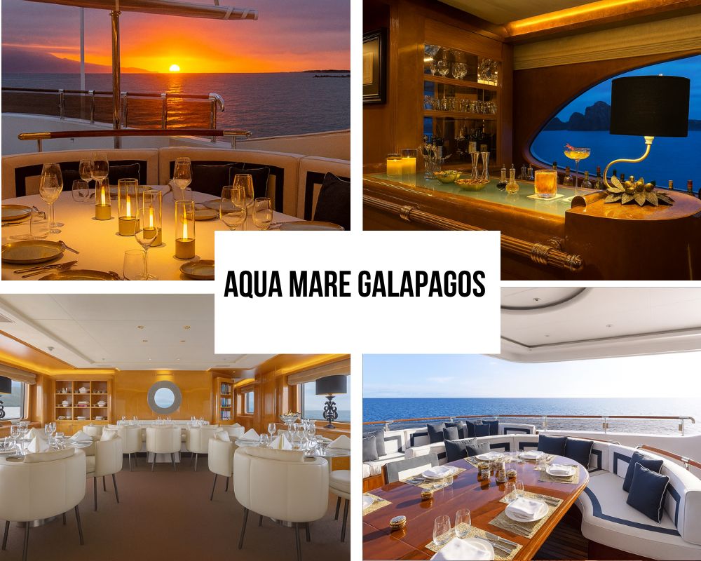 Perfect Match for the Aqua Mare Galapagos Cruise