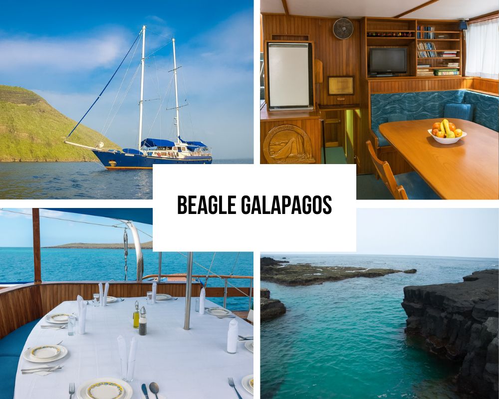 Perfect Match for the Beagle Galapagos Cruise