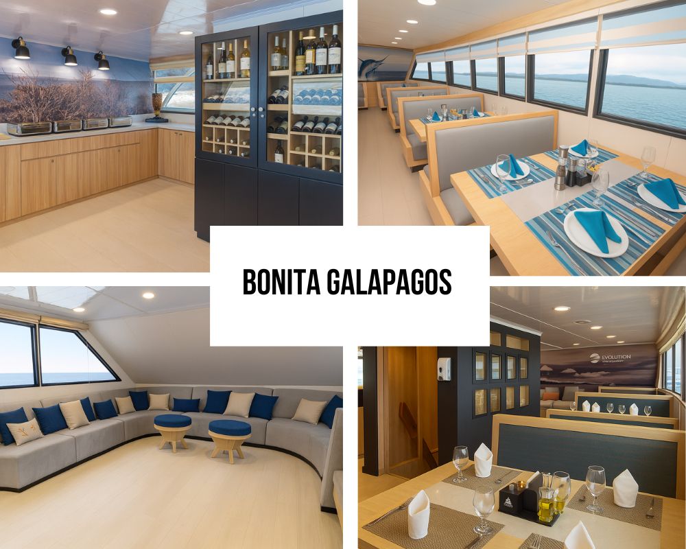 Guest Experiences on the Bonita Galapagos Cruise