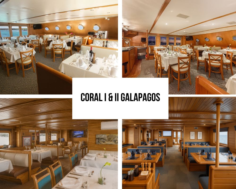 Reserve sua aventura clássica em navios gêmeos