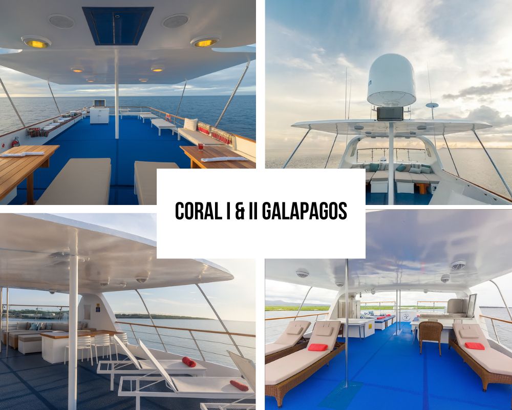 Combinação perfeita para Coral I & II