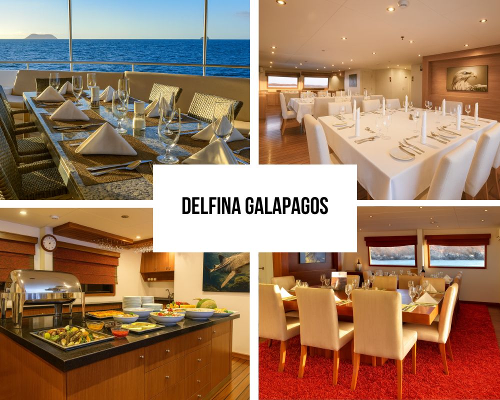 Outstanding Guest Experience and Intimate Excellence Recognition on the National Geographic Delfina