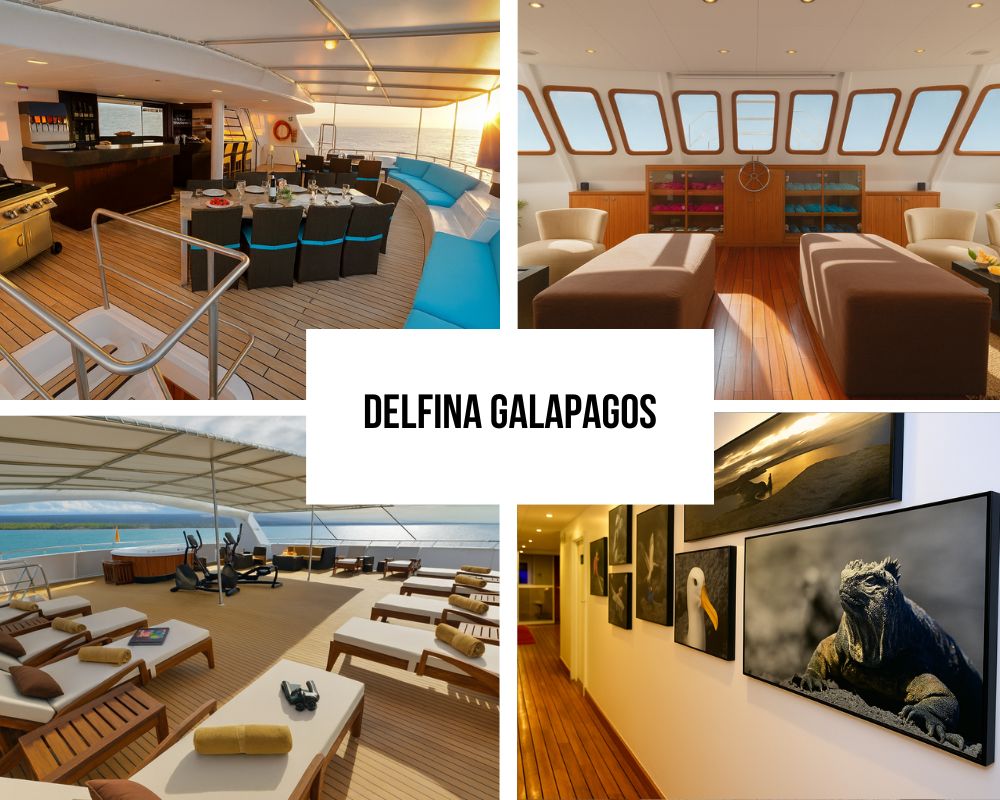 Outstanding Private Charter Excellence and Group Travel Perfection on the National Geographic Delfina