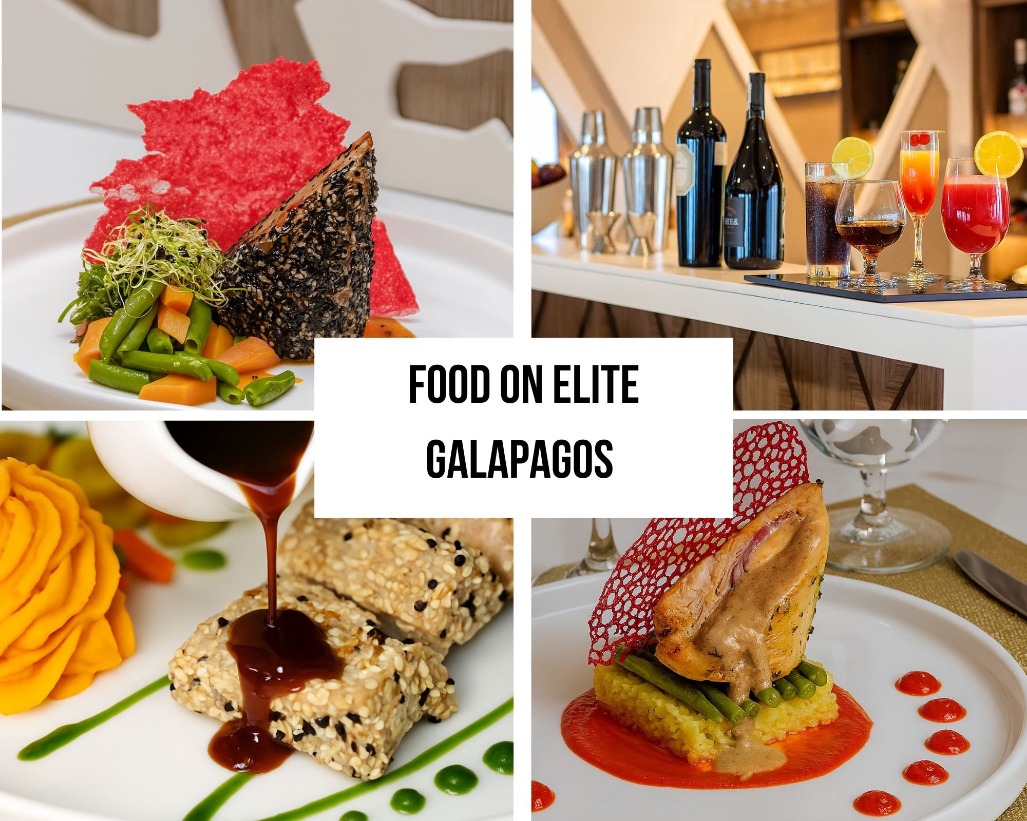 Epicurean Dining Excellence on the Elite Galapagos Cruise
