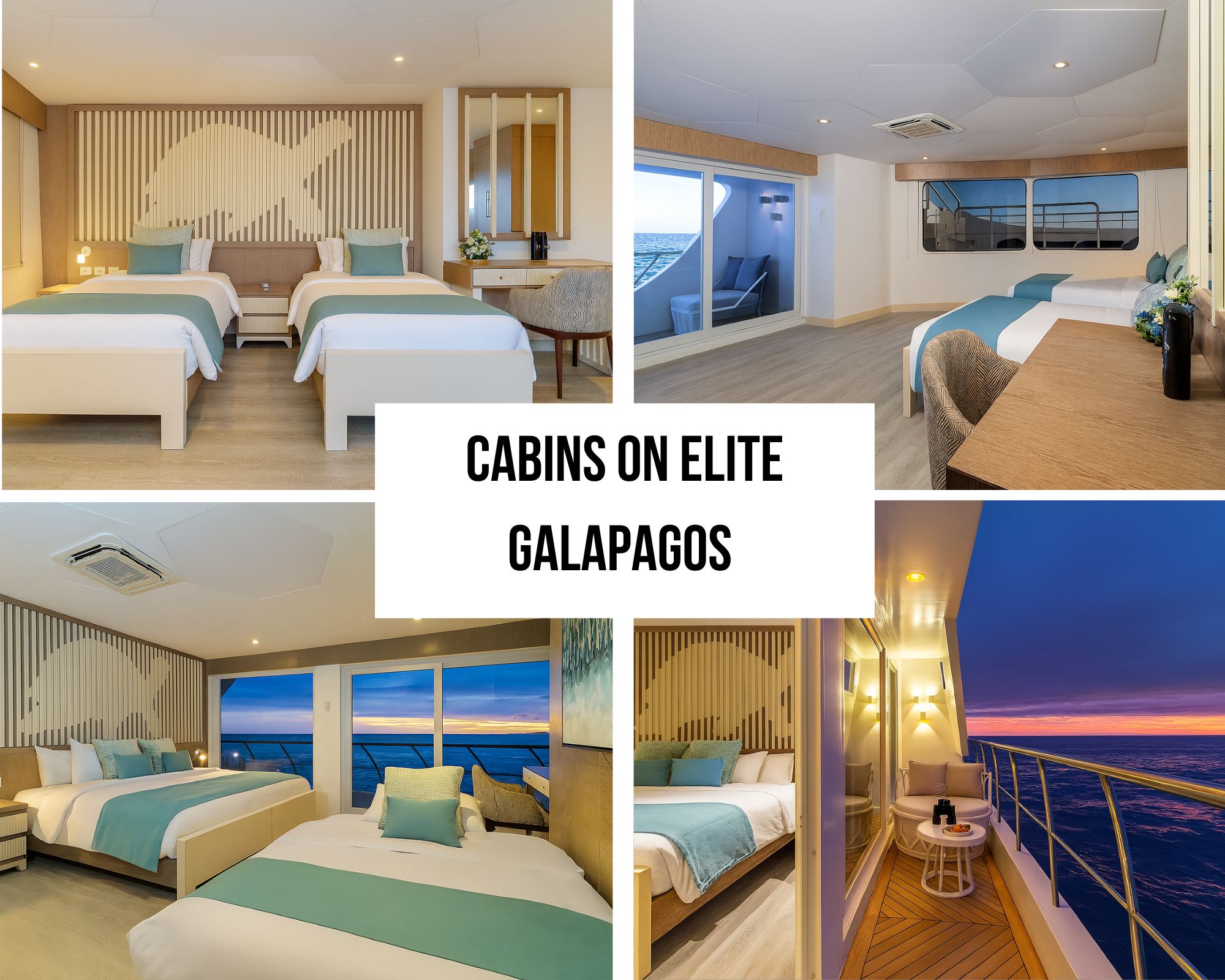 Golden Suite Luxury Accommodations on the Elite Galapagos Cruise