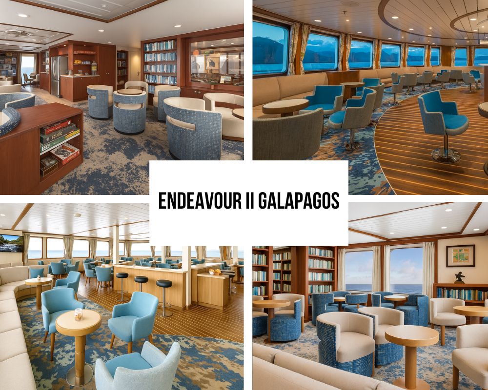 Comprehensive Educational Excellence and Expert Guide Teams on the National Geographic Endeavour II
