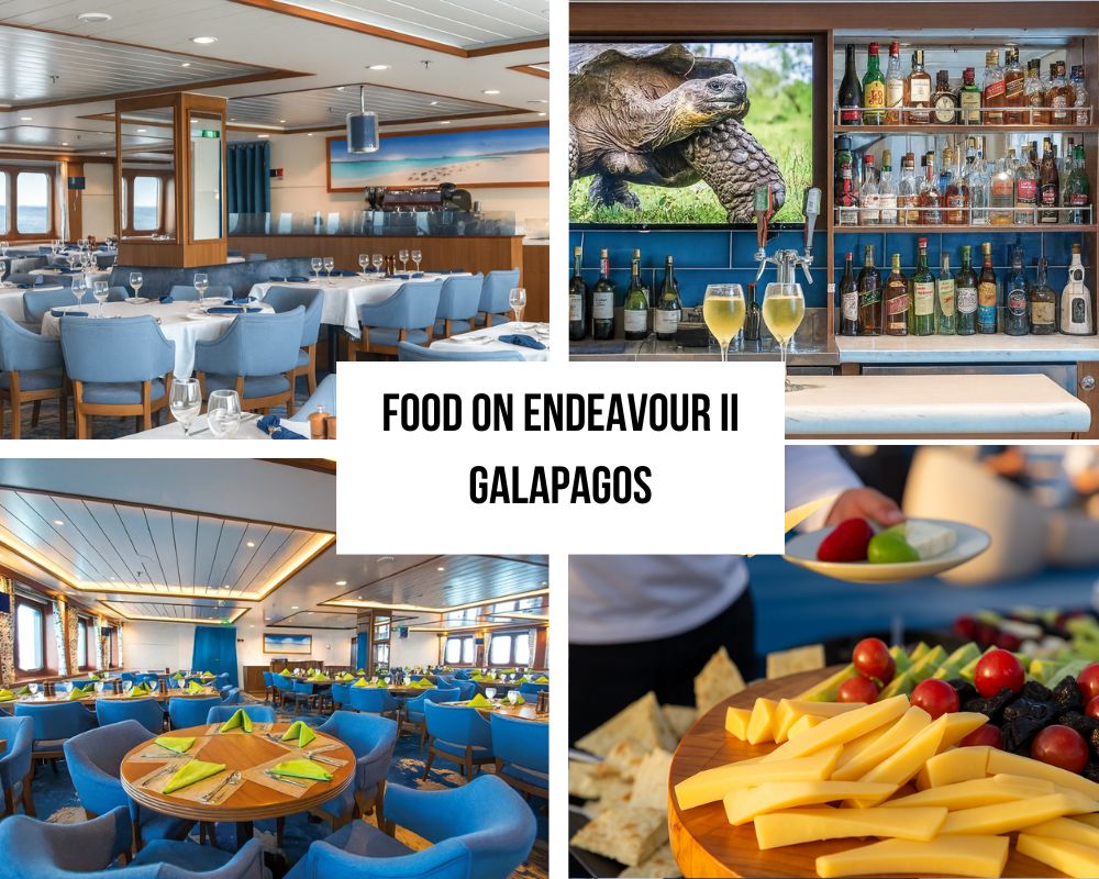 Outstanding Guest Experience and National Geographic Recognition on the National Geographic Endeavour II