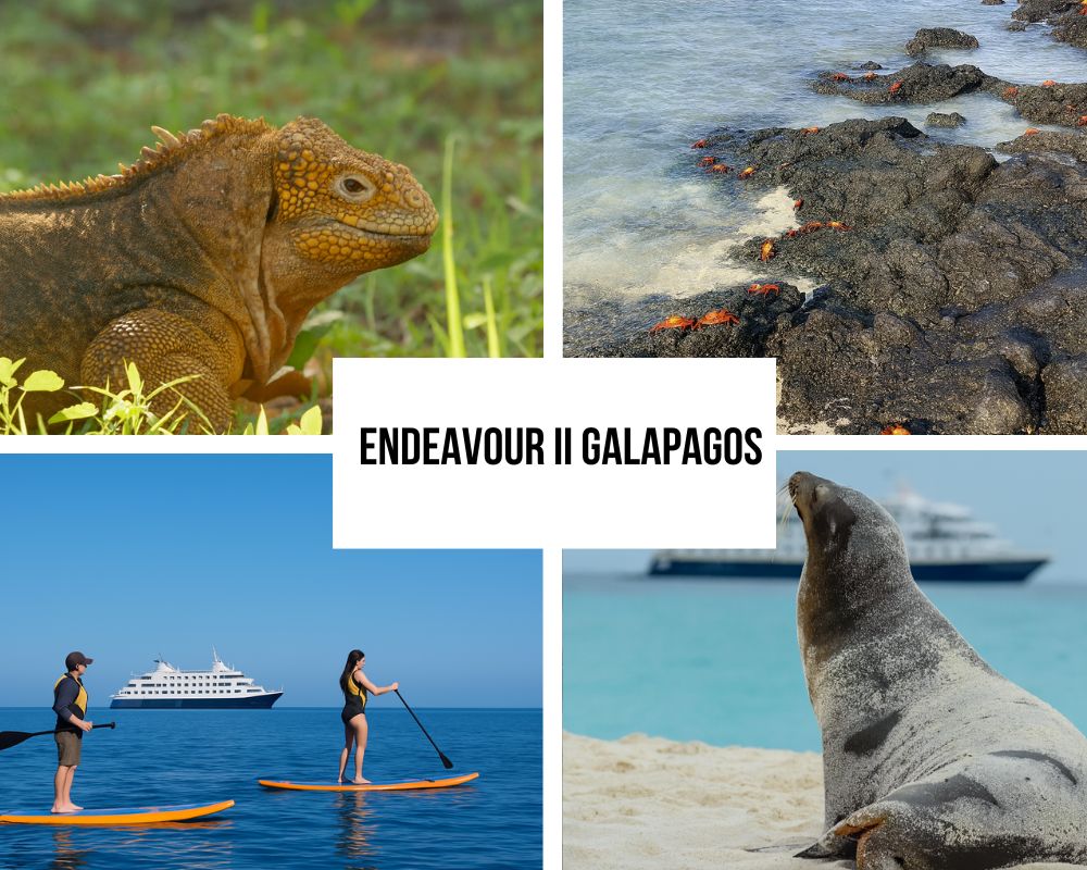 National Geographic Endeavour II
