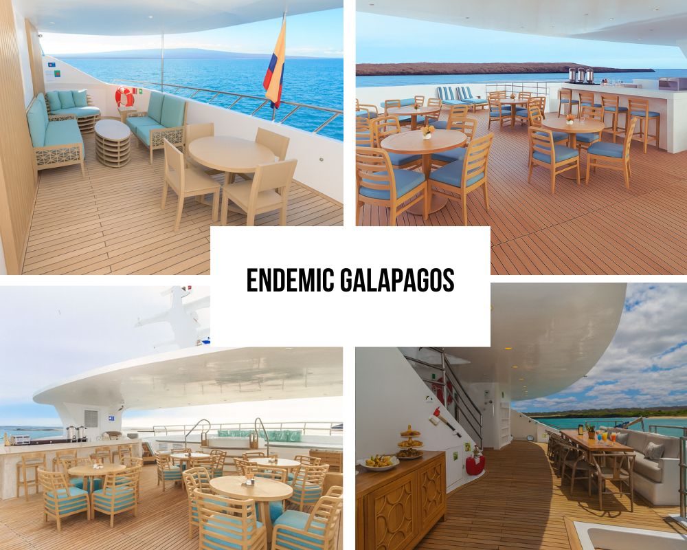Outstanding Guest Experience and Innovation Recognition on Endemic