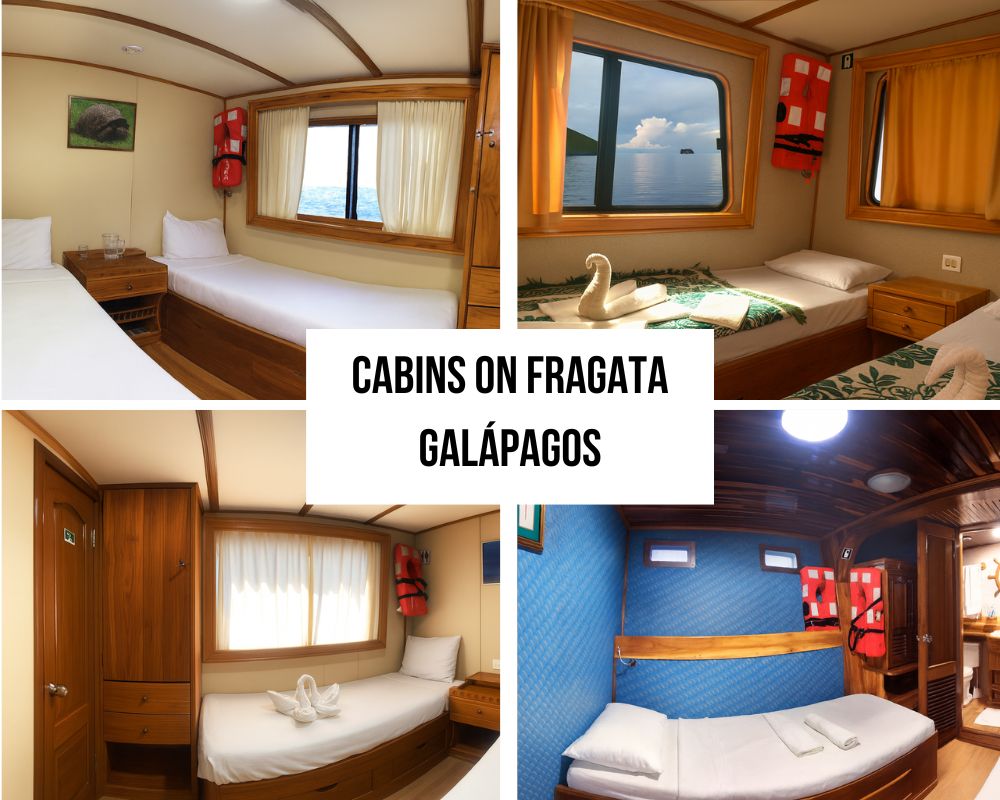 Comfortable Cabin Design and Full-Size Sun Deck on the Fragata Galapagos Cruise
