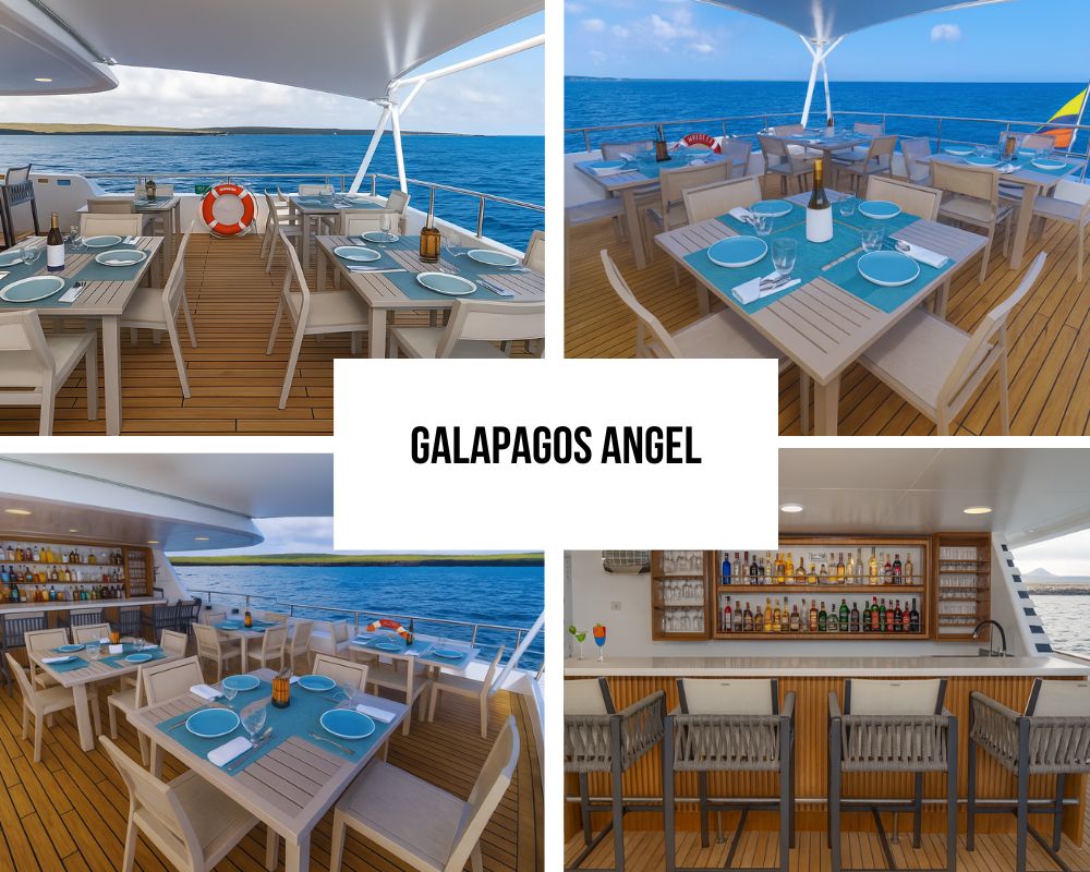 Outstanding Guest Experience and Newest Recognition on Galapagos Angel