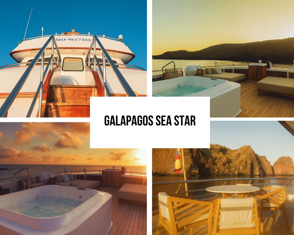 Riconoscimento del patrimonio familiare a bordo della Sea Star alle Galapagos