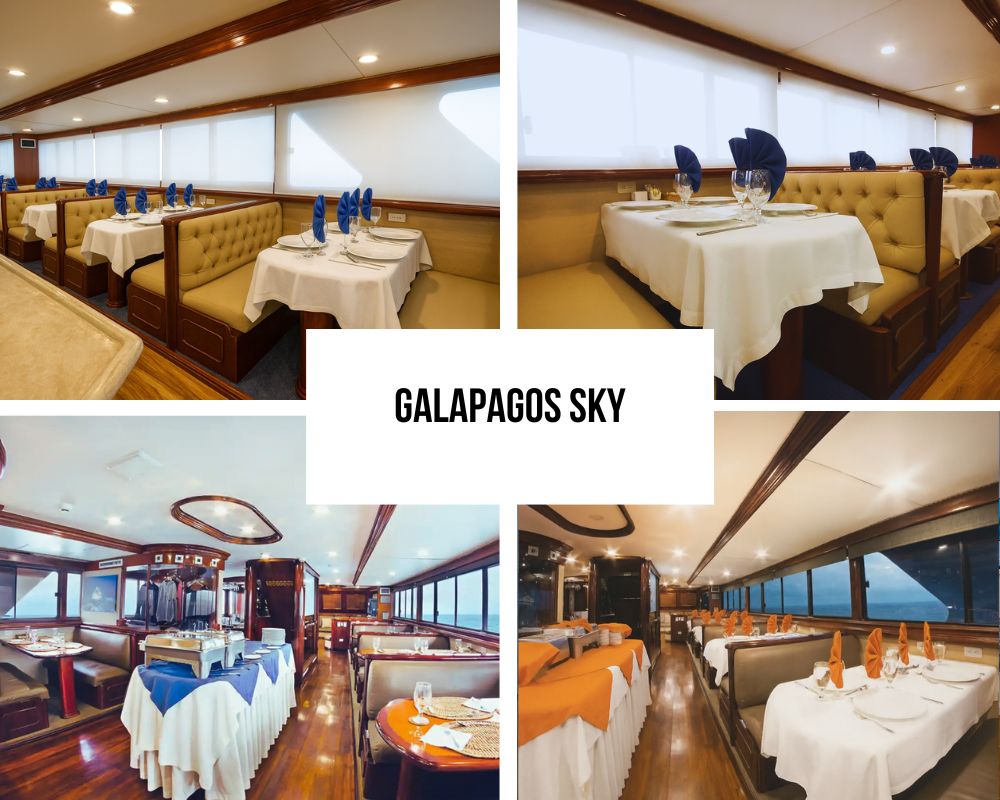 Outstanding Guest Experience on Galapagos Sky