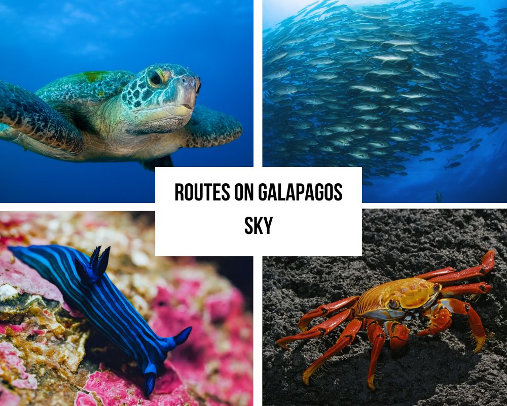 Comprehensive Itinerary Portfolio on Galapagos Sky
