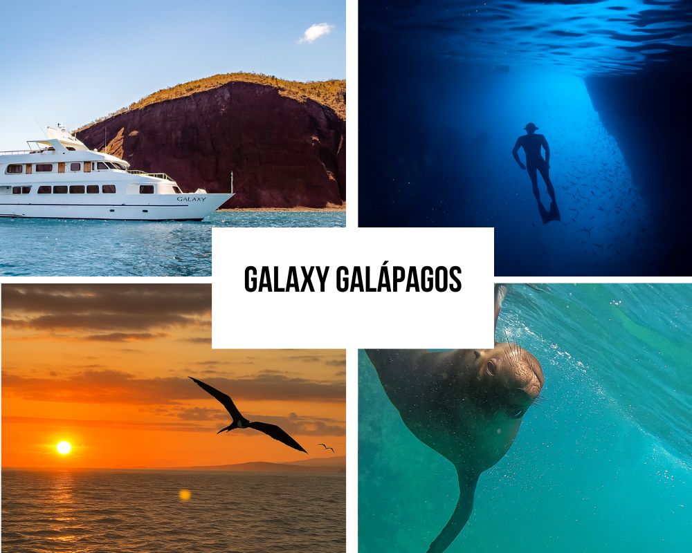 Comprehensive Itinerary Portfolio on the Galaxy Galapagos Cruise