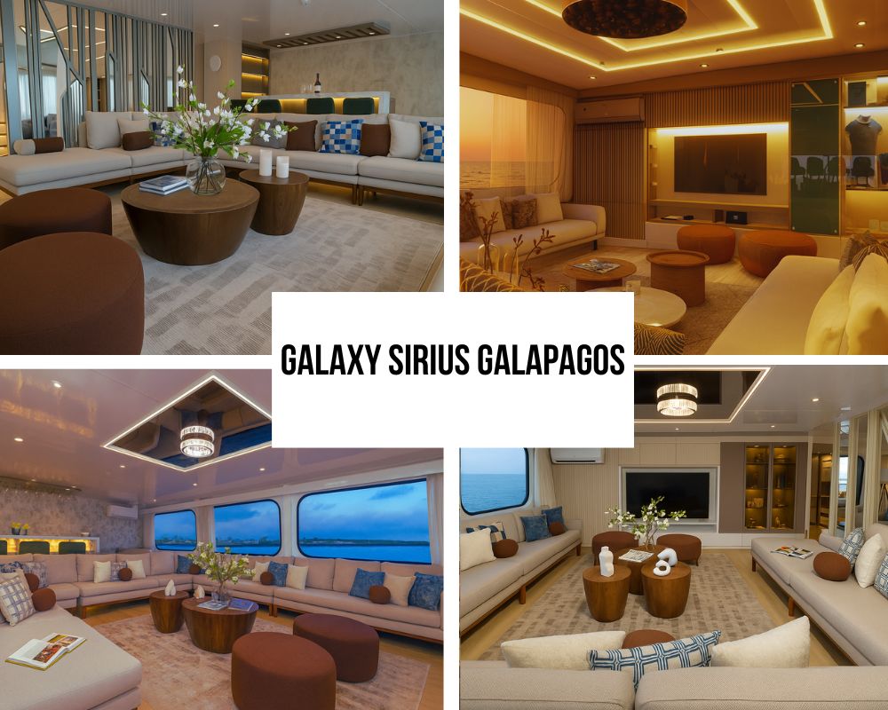 Uitgebreide luxe voorzieningen en sociale excellentie aan boord van de Galaxy Sirius