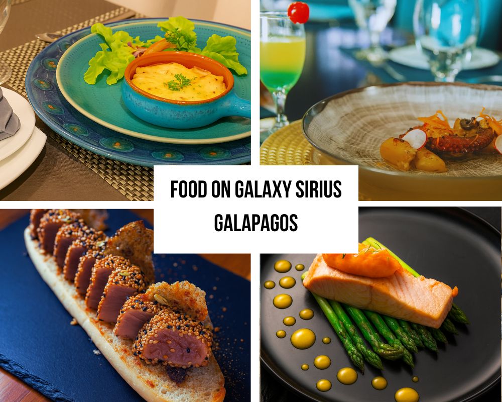 Uitstekende culinaire excellentie en wereldklasse dineren op de Galaxy Sirius