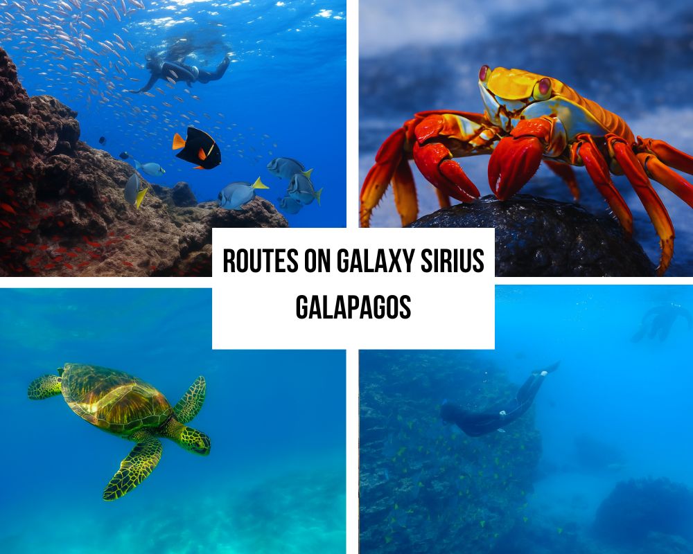 Uitgebreid aanbod aan routes op de Galaxy Sirius