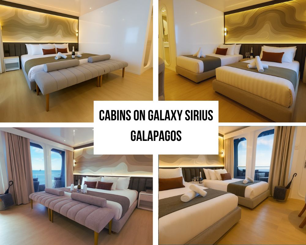 Uitzonderlijke luxe accommodatie en privébalkons aan boord van de Galaxy Sirius