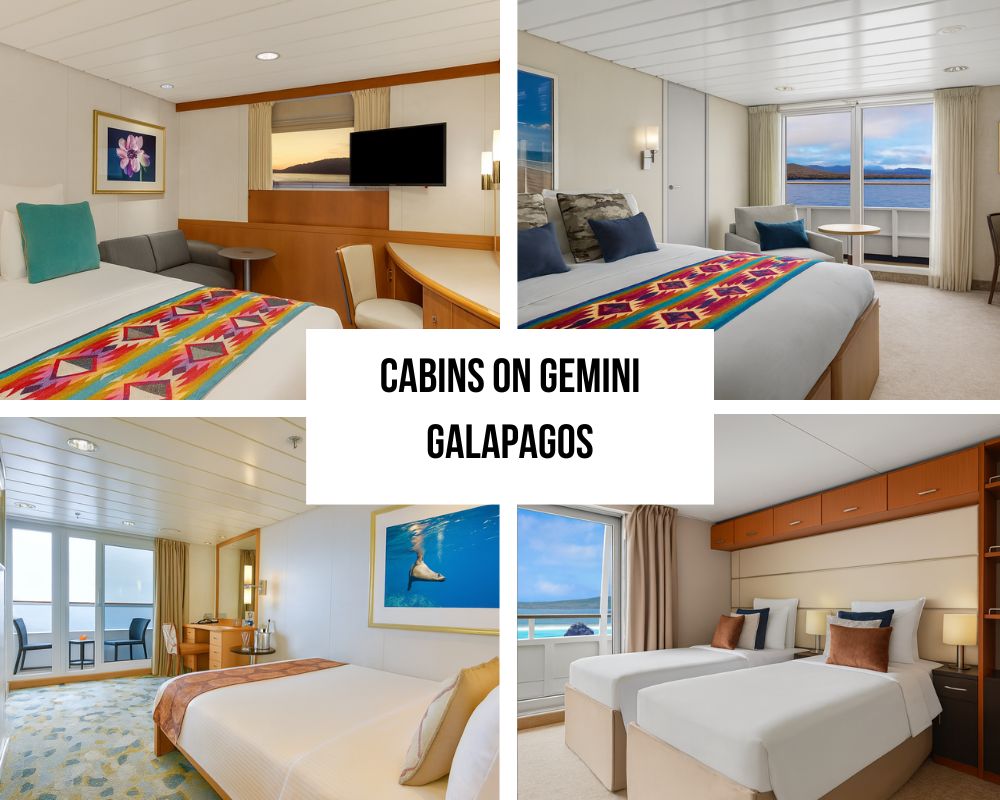 Comprehensive 2024 Renovation and Modern Amenities on the National Geographic Gemini