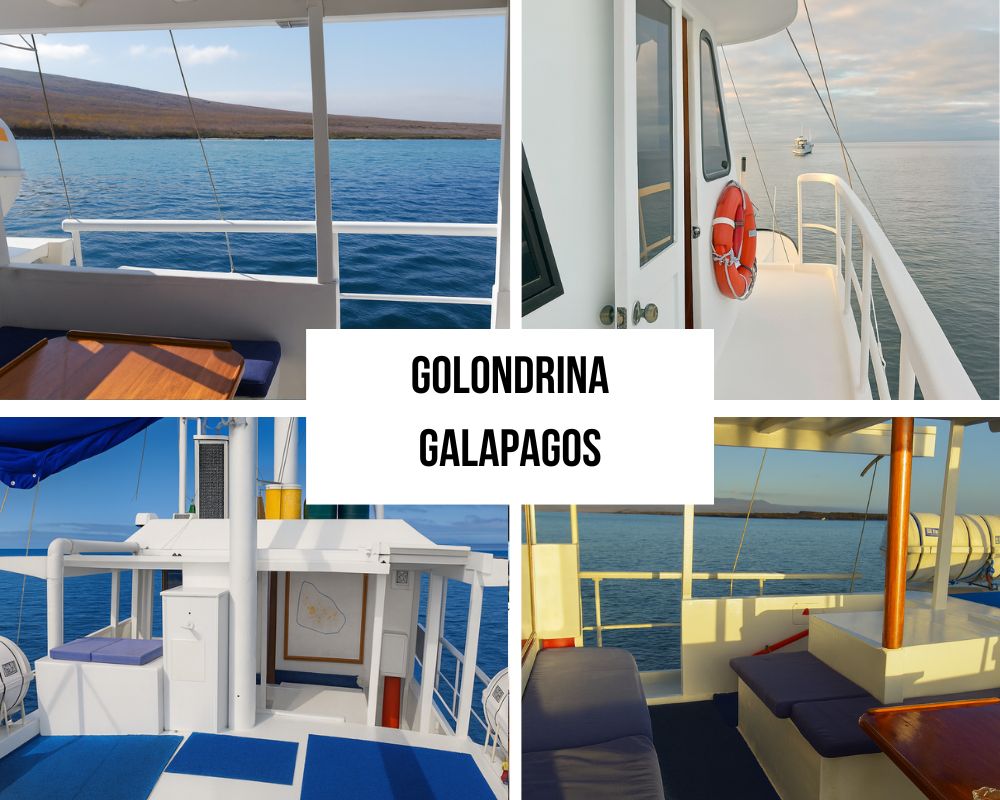 Perfect Match for the Golondrina Galapagos Cruise