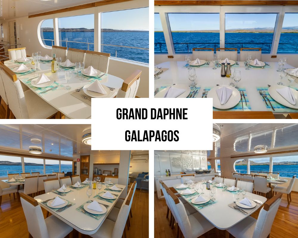 Grand Daphne Galapagos Cruise