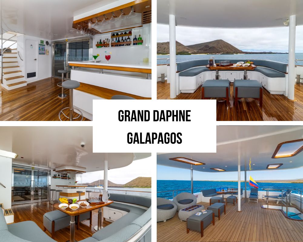 Grand Daphne Galapagos Cruise
