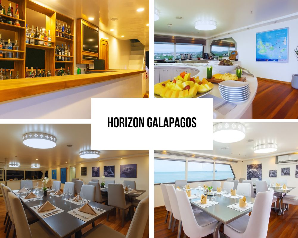 Outstanding Guest Experience and Innovation Recognition on Galapagos Horizon