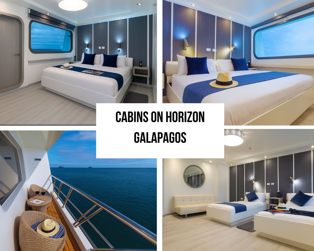 Exceptional Private Balcony Access and Modern Accommodation Excellence on Galapagos Horizon