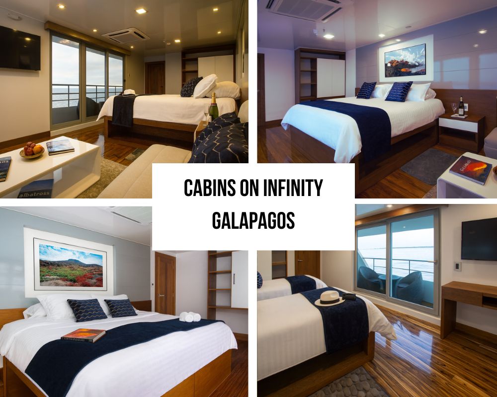 Innovative Dual Guide System and Intimate Group Excellence on Infinity
