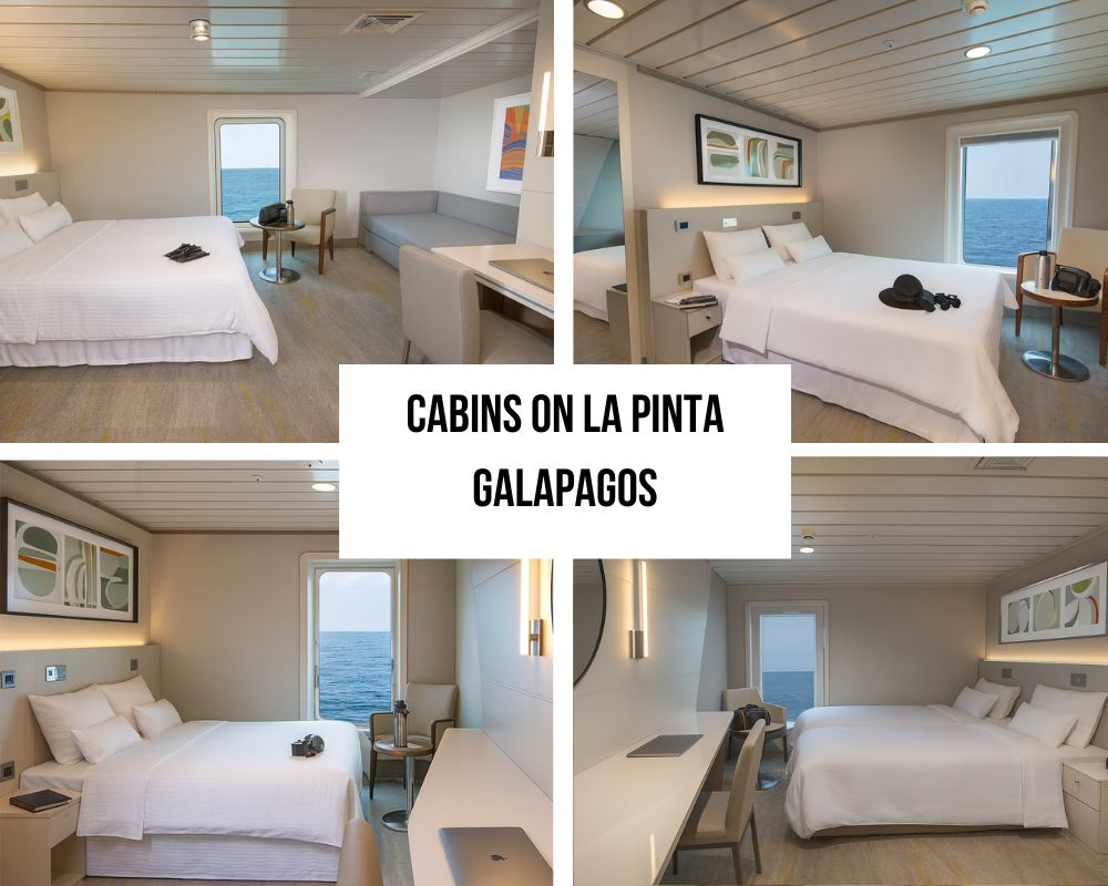 Comprehensive Modern Amenities and Technology Excellence on La Pinta