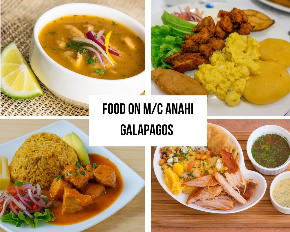 Gourmet Dining Experience on the Anahi Galapagos Cruise