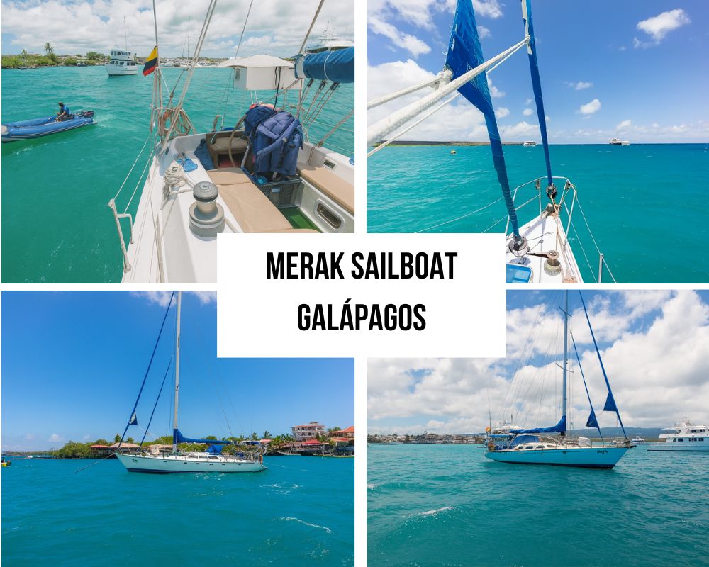 Sailboat Adventure Experience on the Merak Galapagos Cruise