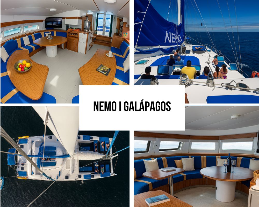 Complete Budget-Friendly Package on the Nemo I Galapagos Cruise