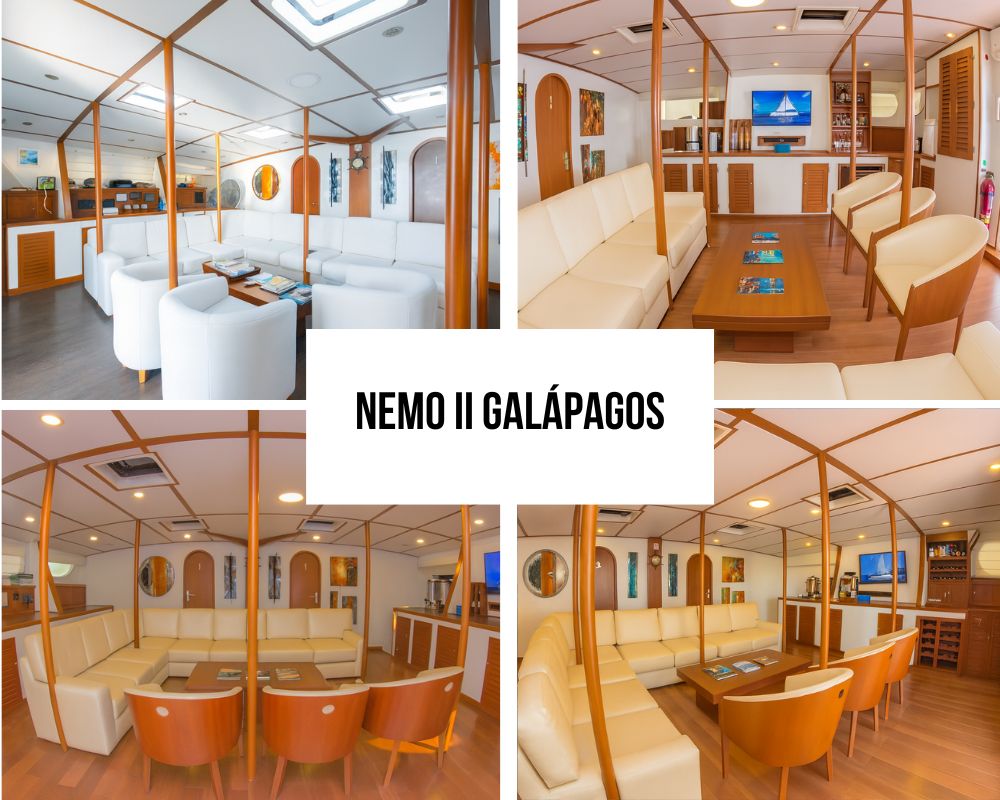 Authentic Family-Operated Sailing Heritage on the Nemo II Galapagos Cruise