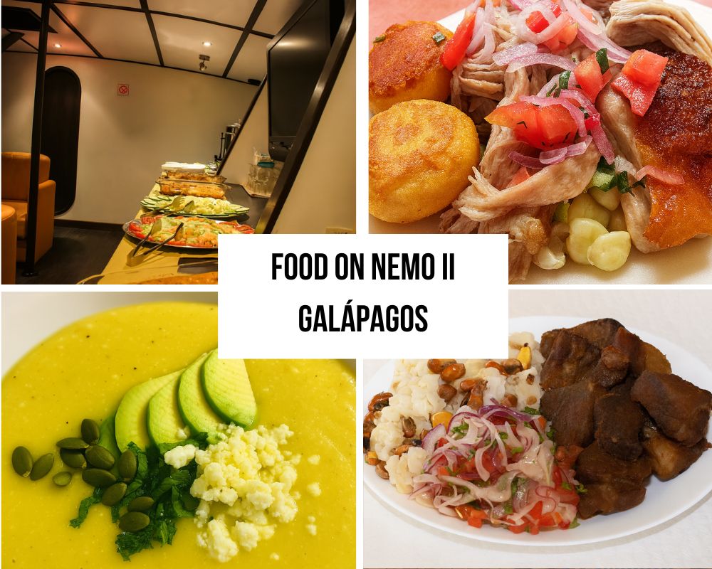 Outdoor Dining and Deck Experiences on the Nemo II Galapagos Cruise