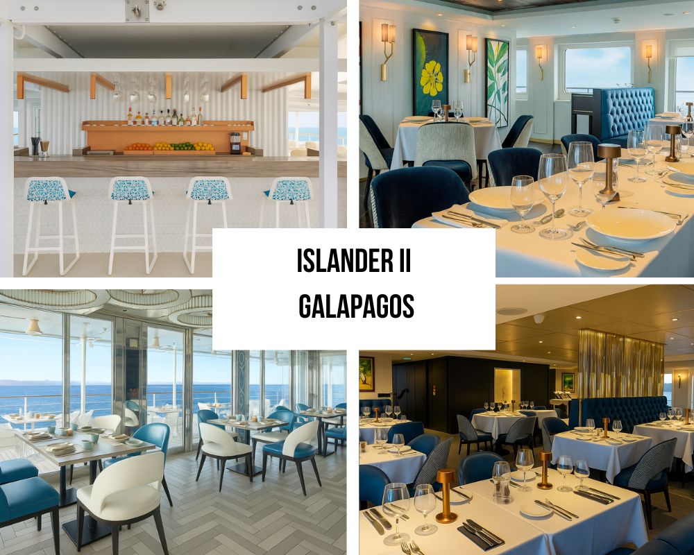 Instalações de luxo excepcionais e inclusões abrangentes no National Geographic Islander II