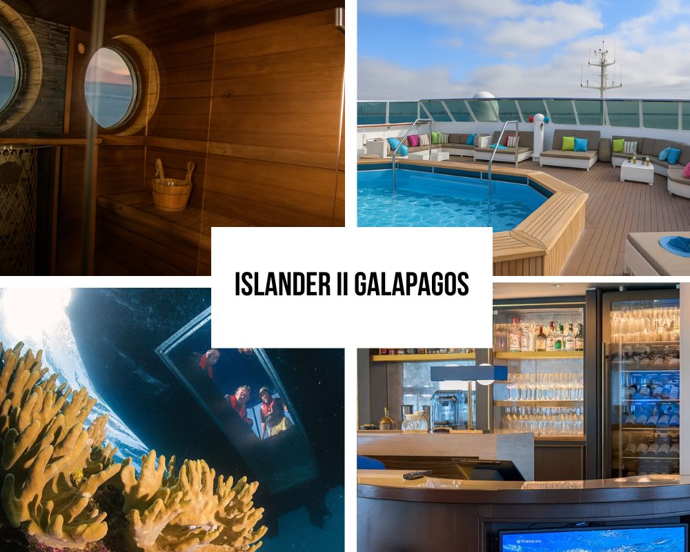 Reconhecimento de expedição de luxo e experiência excepcional para hóspedes no National Geographic Islander II