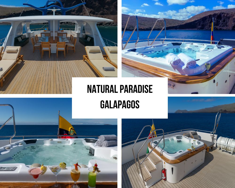 Comprehensive Modern Amenities and Open Space Excellence on Natural Paradise