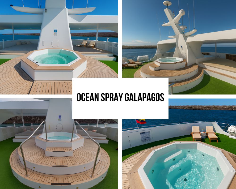 Outstanding Catamaran Stability and Luxury Amenities on Ocean Spray