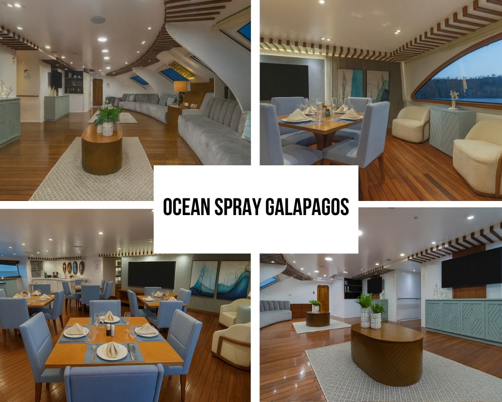 Outstanding Environmental Leadership and Carbon Neutral Excellence on Ocean Spray