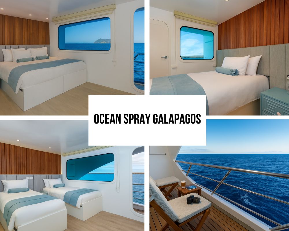 Outstanding Guest Experience and Luxury Recognition on Ocean Spray