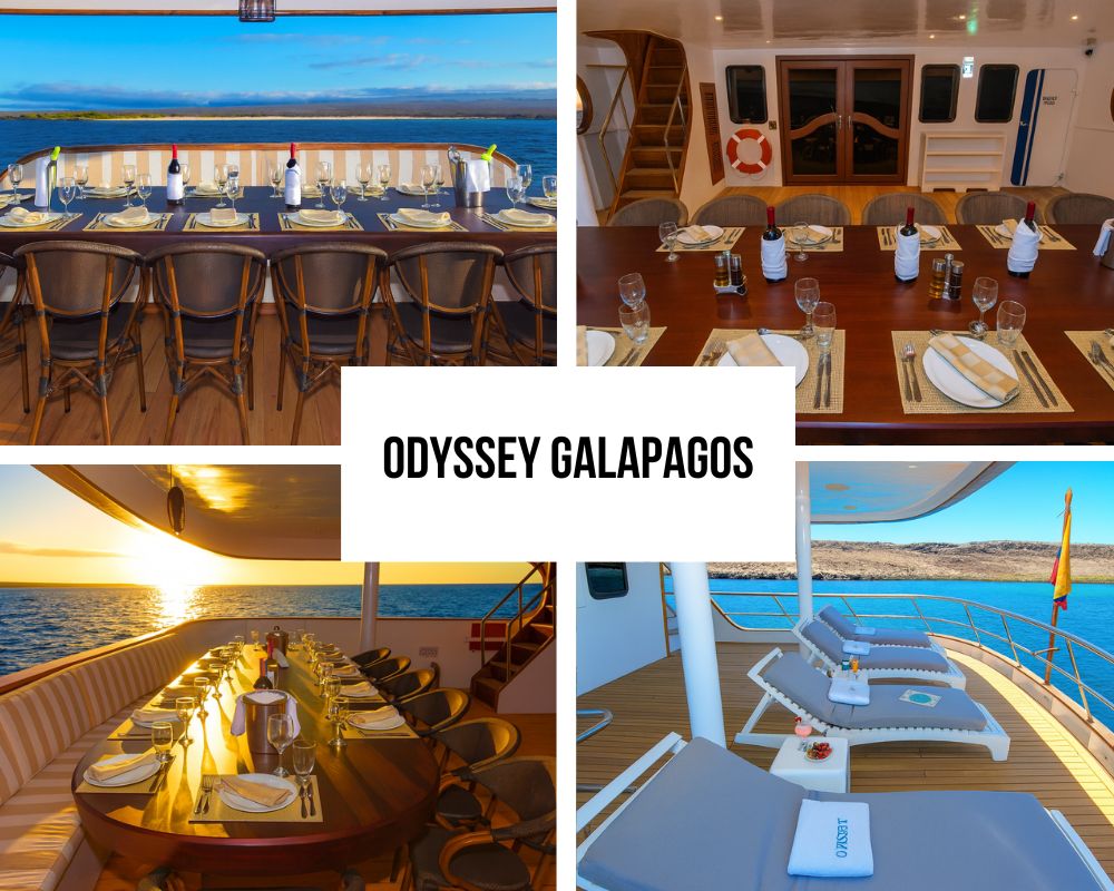 Hervorragender Service der Crew und traditionelle Exzellenz auf der Galápagos-Odyssey-Kreuzfahrt
