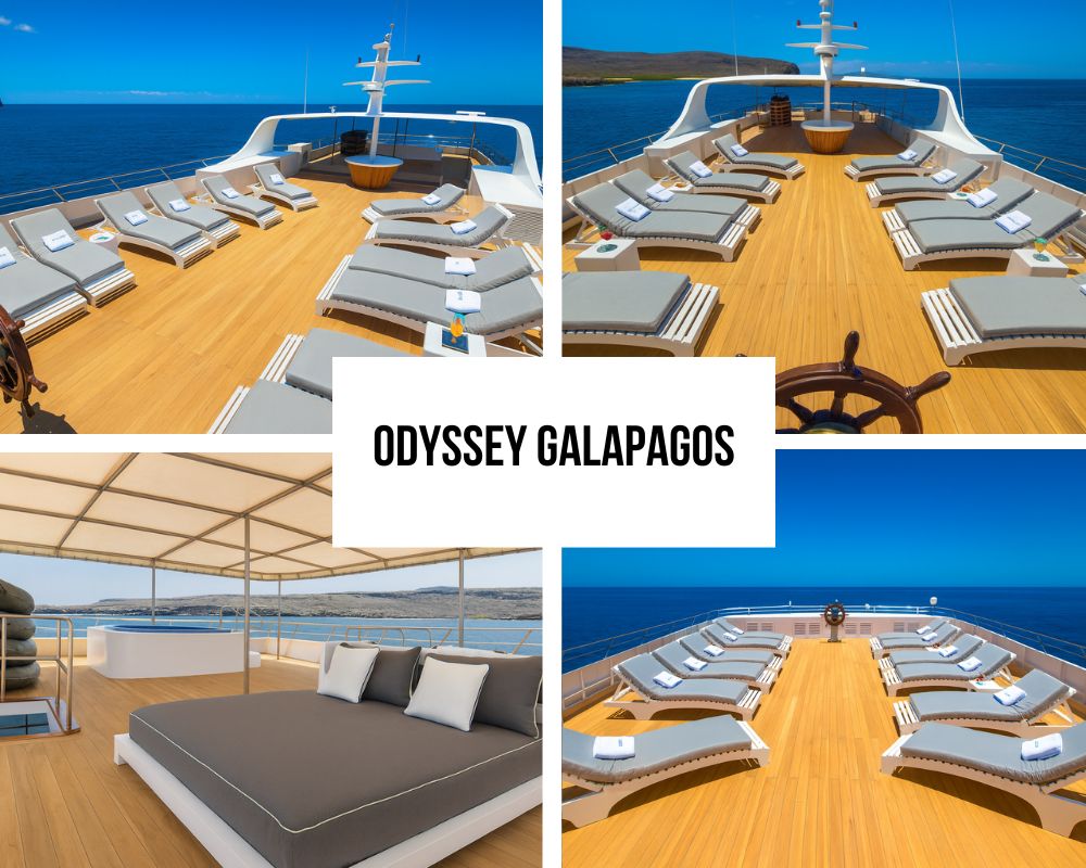 Galapagos Odyssey Kreuzfahrt