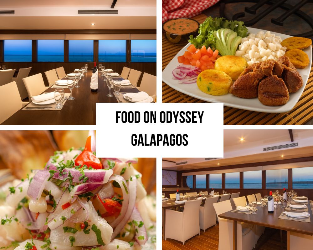 Hervorragende kulinarische Exzellenz und abwechslungsreiche Küche auf der Galápagos-Odyssey-Kreuzfahrt