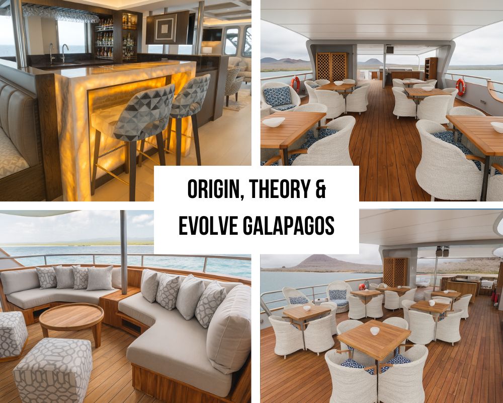 Origin, Theory & Evolve Galapagos Cruises